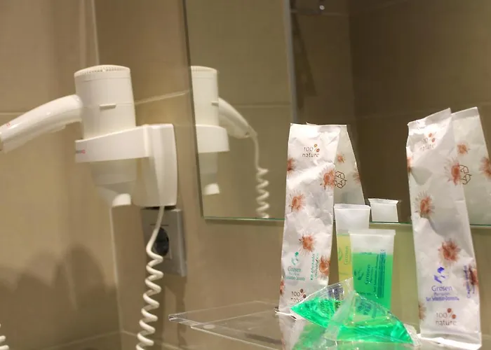 格鲁森旅馆 2* 圣塞瓦斯蒂安